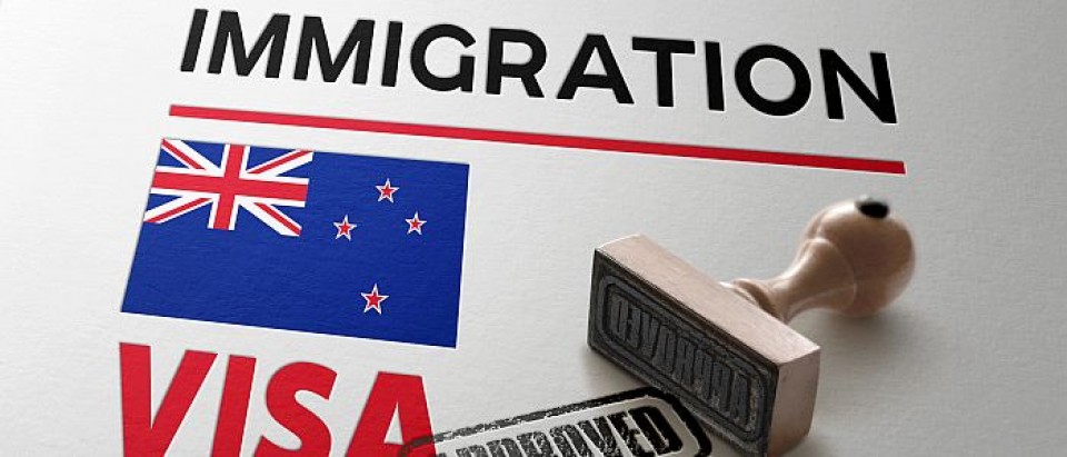 Immigration Visa 700 x 300